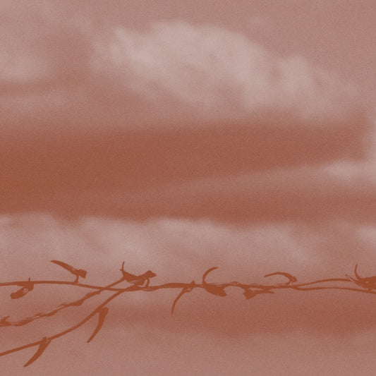 Double Bind |