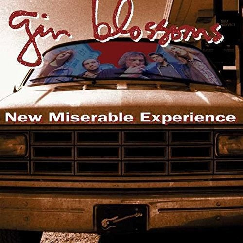 New Miserable Experience [Import] |