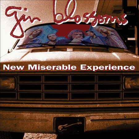 New Miserable Experience |