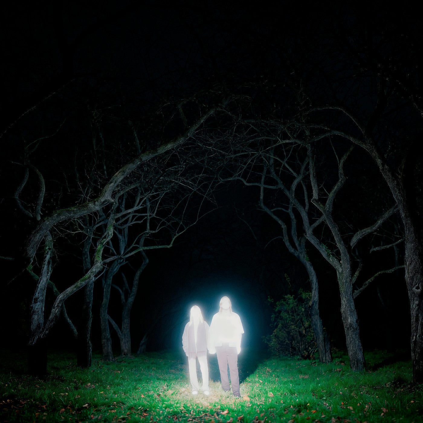 Gnoomes - Losey (Indie Exclusive) [Slate Gray Vinyl] |