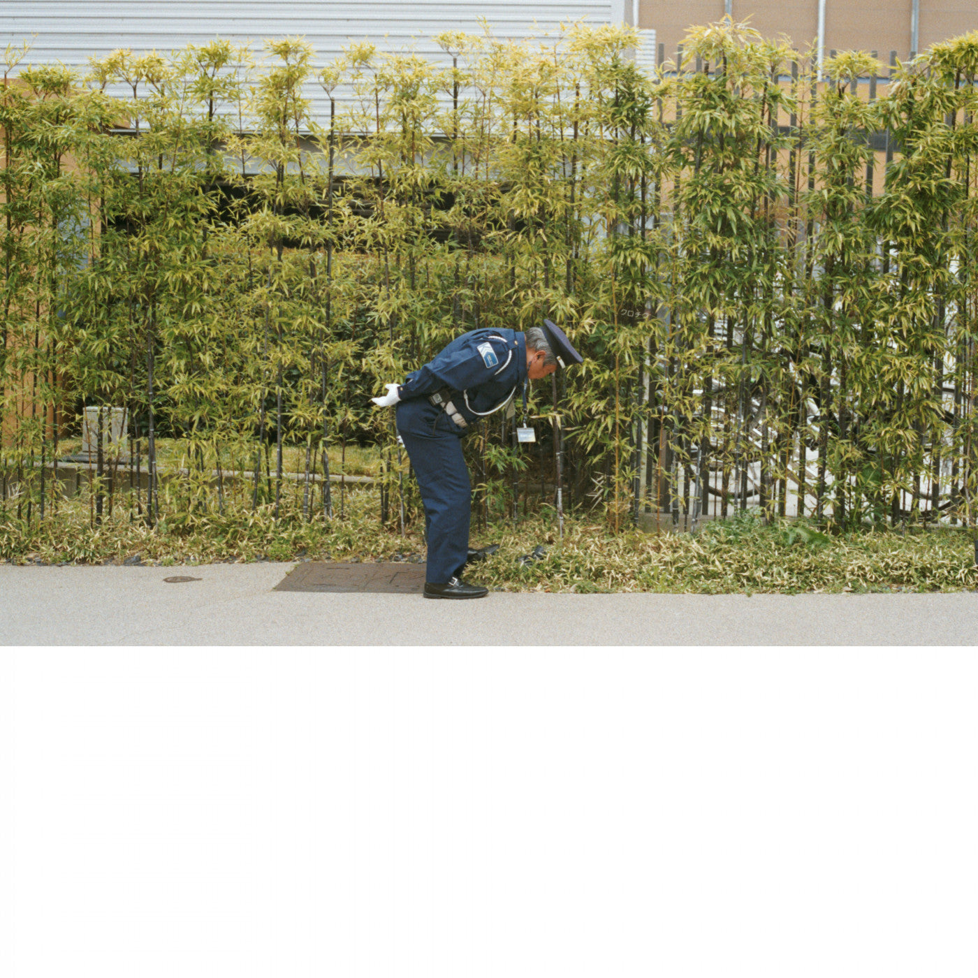 Gold Panda - Good Luck and Do Your Best (CD) |