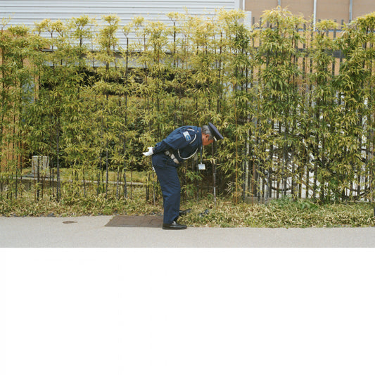 Gold Panda - Good Luck and Do Your Best (CD) |
