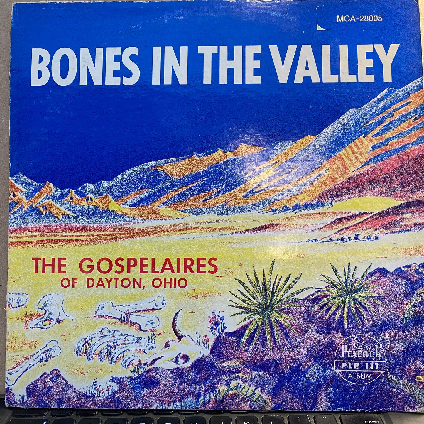 Bones In The Valley | Excellent (EX) Very Good (VG) - GOSPEL / USED *EXCELLENT+*