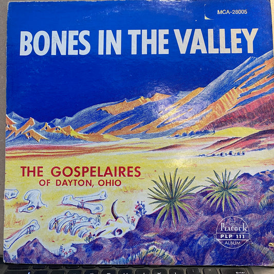 Bones In The Valley | Excellent (EX) Very Good (VG) - GOSPEL / USED *EXCELLENT+*