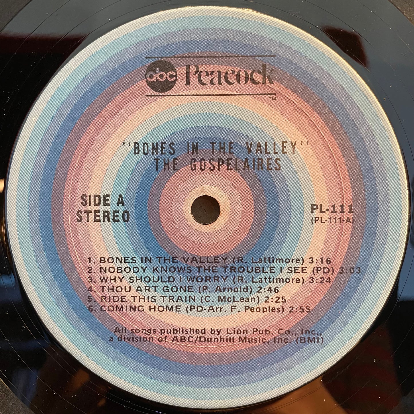 Bones In The Valley | Excellent (EX) Very Good (VG) - GOSPEL / USED *EXCELLENT+*