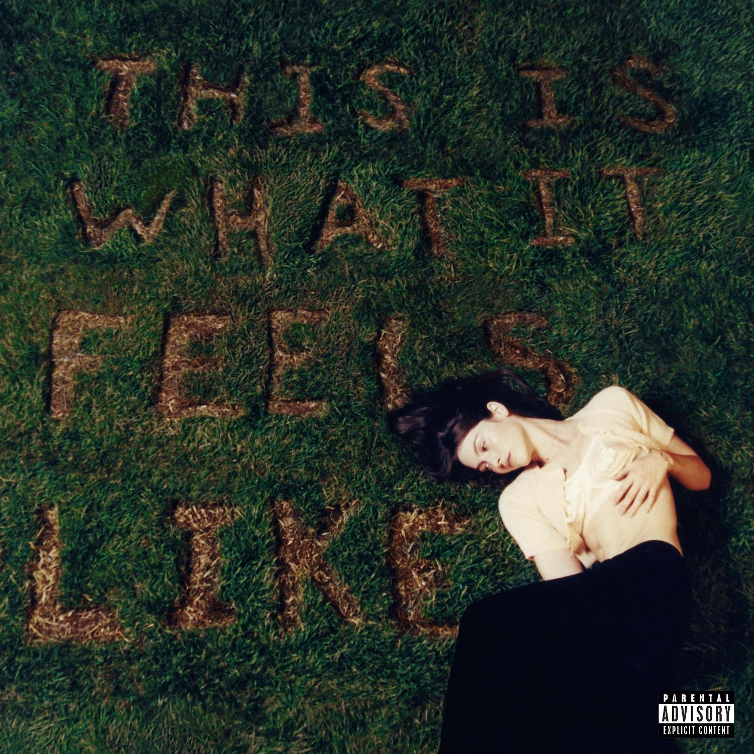 This Is What It Feels Like [LP] | Mint (M) Mint (M) - POP *SEALED*