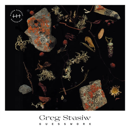 Greg Stasiw - Guesswork [LP] |