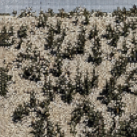Extra Stars (Star Dust Vinyl) |