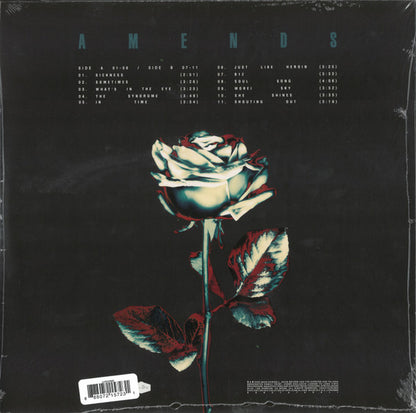 Amends | Near Mint (NM) Mint (M) - ROCK / USED *NEAR MINT / CLEAR*