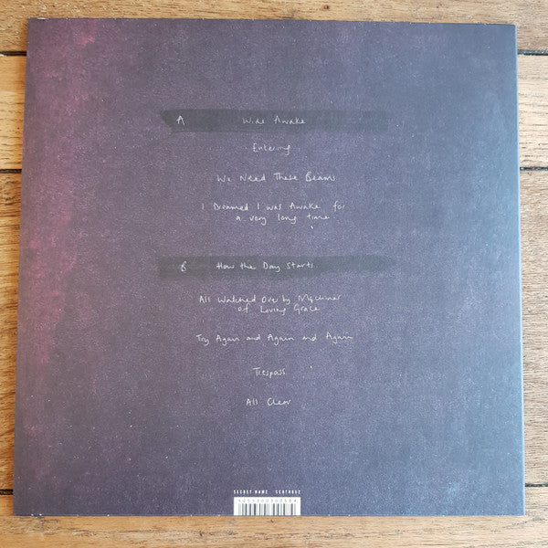 The Hill, The Light, The Ghost | Mint (M) Mint (M) - AMBIENT *SEALED*