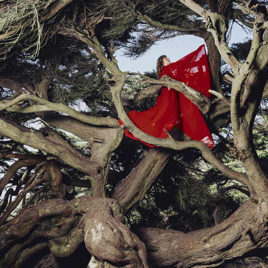 (PRE-ORDER 10/10/25) Nested In Tangles (Ruby Red Vinyl) | Mint (M) Mint (M) - FOLK *NEW*