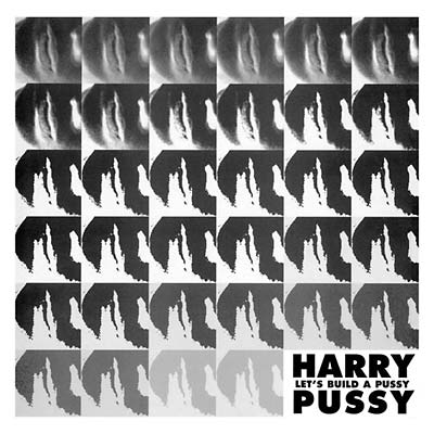 Let's Build a Pussy |
