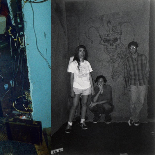 You'll Never Play This Town Again (2x VINYL) | - ALT/INDIE *NEW*