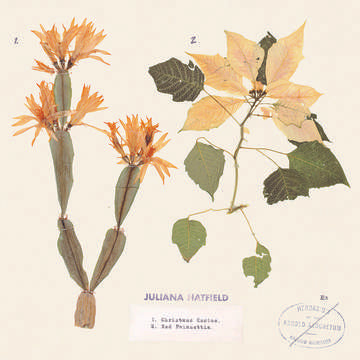Christmas Cactus/Red Poinsettia (7" RSD 11.27.2020) | Mint (M) Mint (M)