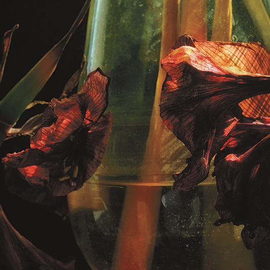 Psychedelia In Times Of Turbulence |