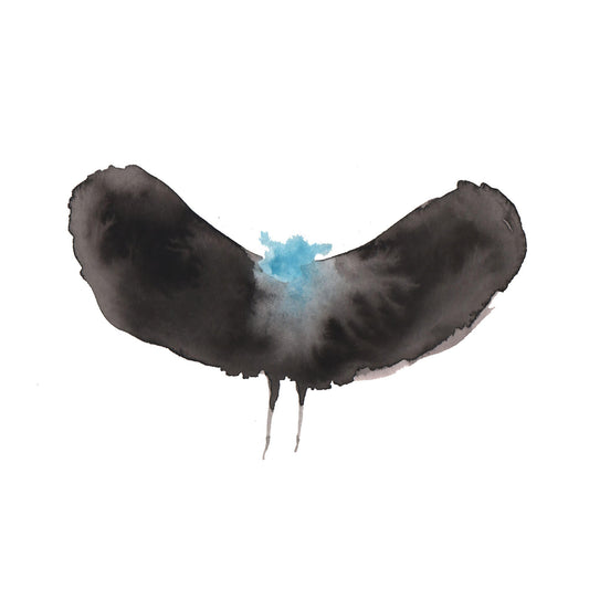Haywardxdälek [CD] |