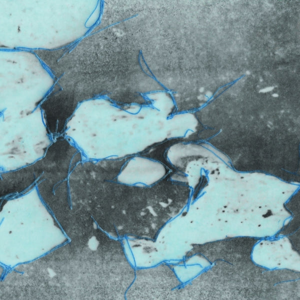 Two Lonely Space Cowboys [Lp] |