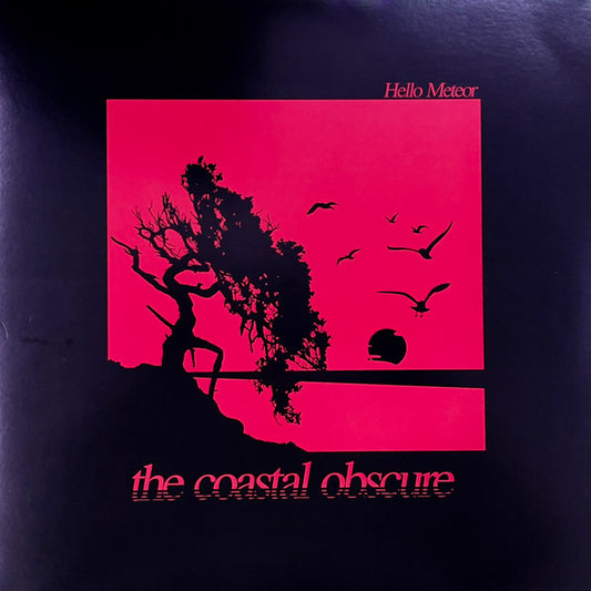 Hello Meteor The Coastal Obscure Eye Witness Records (2) LP, Ltd, “Da Mint (M) Near Mint (NM or M-)