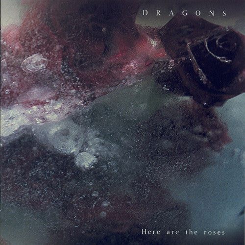 Dragons - Here Are the Roses (CD) |