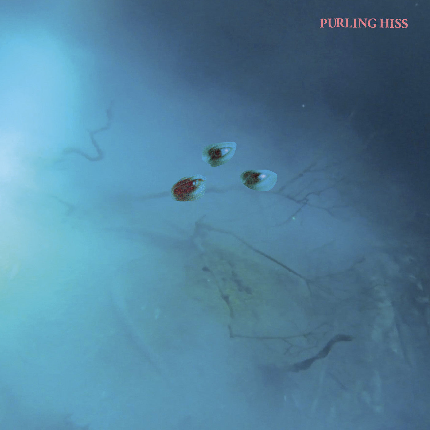 Purling Hiss - High Bias (CD) |