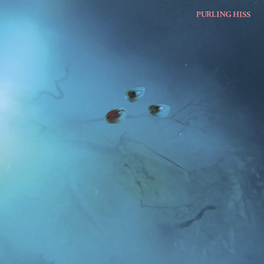 Purling Hiss - High Bias (CD) |