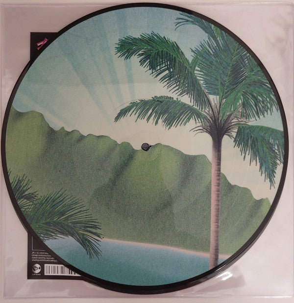 Daymaker *PICTURE LP* | Mint (M) Mint (M) - HIP HOP *NEW*
