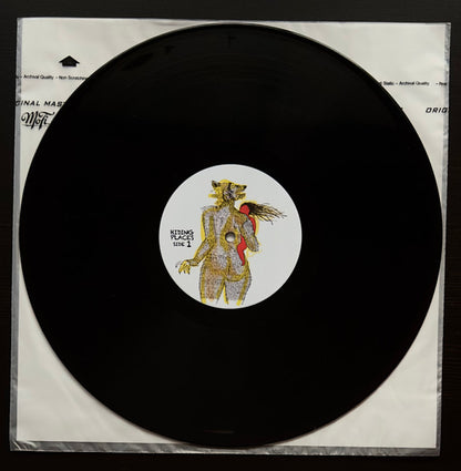Hiding Places (VINYL) | Mint (M) Mint (M) - HIP HOP *NEW*