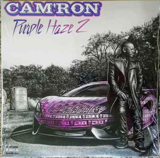 Purple Haze 2 | Mint (M) Mint (M) - HIP HOP/RAP *COLOR*