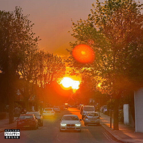 No Vi$Ible Means Of Income 3 (VINYL) | Mint (M) Mint (M) - HIP HOP/RAP *NEW*