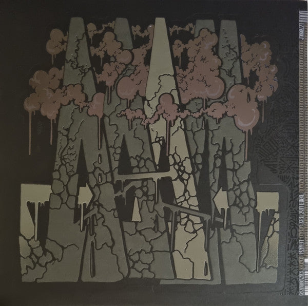 Born Like This (2xVINYL) | Near Mint (NM or M-) Near Mint (NM or M-) - HIP HOP/RAP / USED *NEAR MINT*