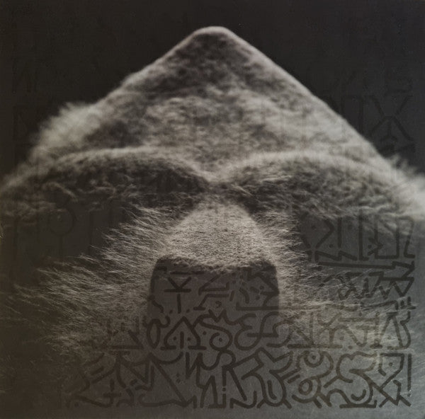 Born Like This (2xVINYL) | Near Mint (NM or M-) Near Mint (NM or M-) - HIP HOP/RAP / USED *NEAR MINT*