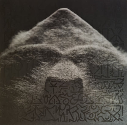 Born Like This (2xVINYL) | Near Mint (NM or M-) Near Mint (NM or M-) - HIP HOP/RAP / USED *NEAR MINT*