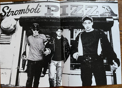 Paul's Boutique Demos (VINYL - UNOFFICIAL) | Mint (M) Mint (M)