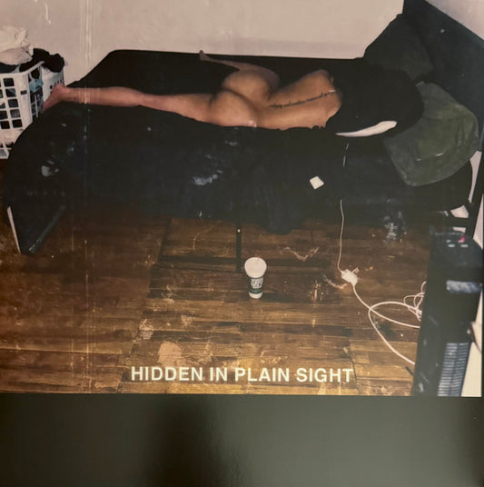 Hidden In Plain Sight (VINYL) | Mint (M) Mint (M) - HIP HOP *SEALED*