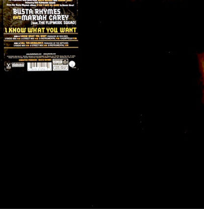 I Know What You Want (12") | Excellent (EX) Near Mint (NM) - HIP HOP / USED *EXCELLENT*