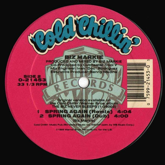 Spring Again (VINYL) | Excellent (EX) Near Mint (NM) - HIP HOP / USED *EXCELLENT*