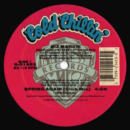 Spring Again (VINYL) | Excellent (EX) Near Mint (NM) - HIP HOP / USED *EXCELLENT*