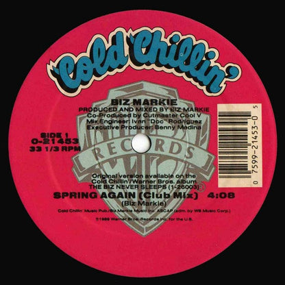 Spring Again (VINYL) | Excellent (EX) Near Mint (NM) - HIP HOP / USED *EXCELLENT*