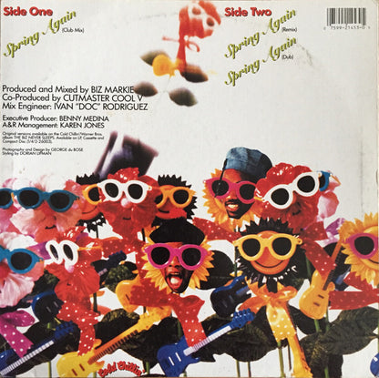 Spring Again (VINYL) | Excellent (EX) Near Mint (NM) - HIP HOP / USED *EXCELLENT*