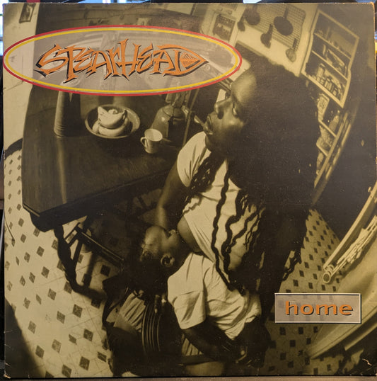 Home (2xVINYL) | Near Mint- (NM-) Excellent (EX) - HIP HOP / USED *NEAR MINT-*