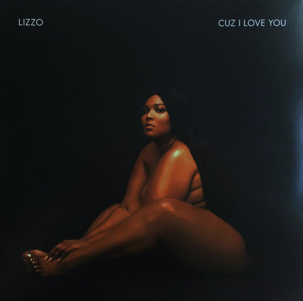 Cuz I Love You (VINYL) | Near Mint (NM) Near Mint (NM) - HIP HOP / USED *NEAR MINT*