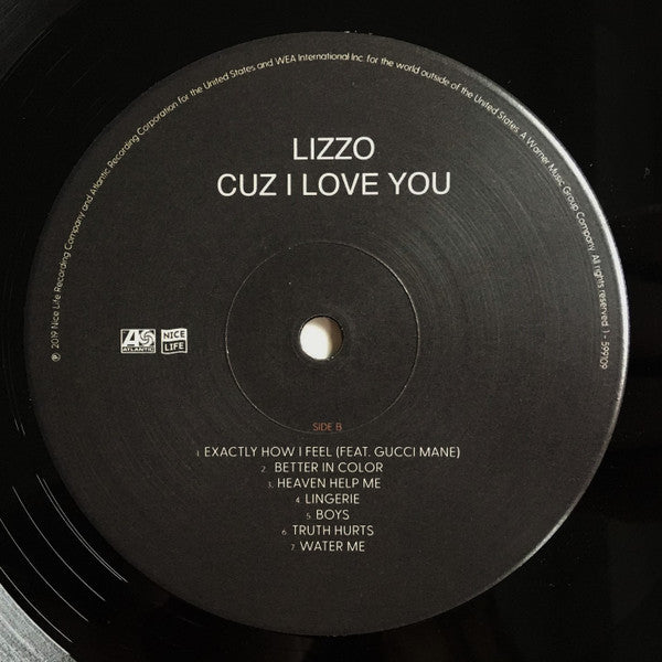 Cuz I Love You (VINYL) | Near Mint (NM) Near Mint (NM) - HIP HOP / USED *NEAR MINT*