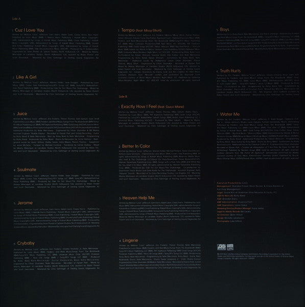 Cuz I Love You (VINYL) | Near Mint (NM) Near Mint (NM) - HIP HOP / USED *NEAR MINT*