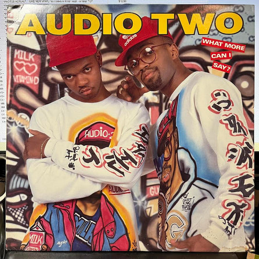 What More Can I Say? (VINYL) | Near Mint (NM) Excellent+ (EX+) - HIP HOP / USED *NEAR MINT*