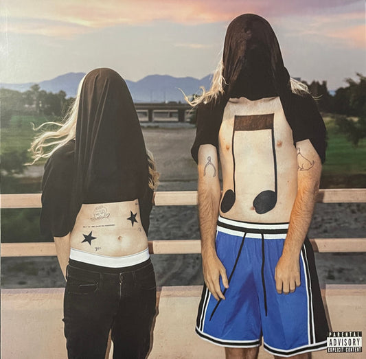 10000 Gecs (VINYL) | Near Mint (NM) Near Mint (NM) - HIP HOP / USED *NEAR MINT*