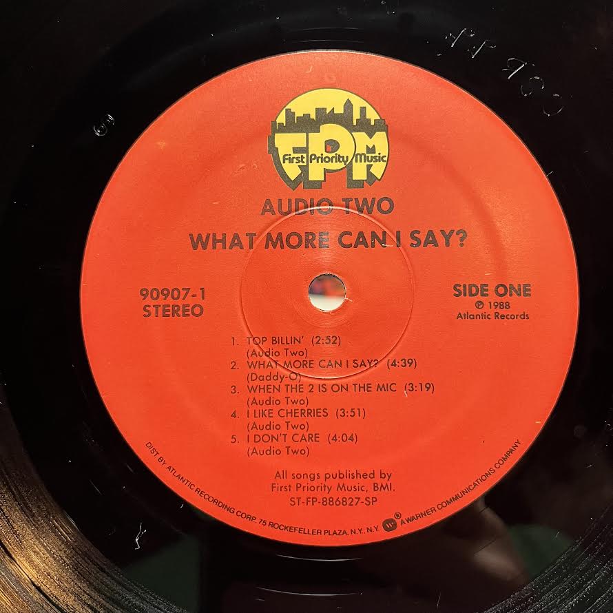 What More Can I Say? (VINYL) | Near Mint (NM) Excellent+ (EX+) - HIP HOP / USED *NEAR MINT*