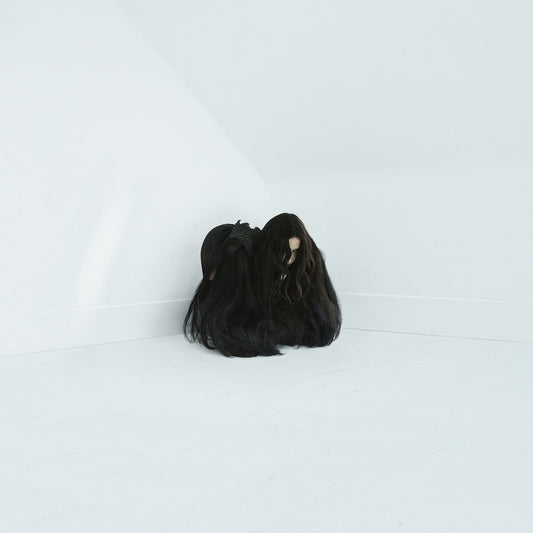 Wolfe, Chelsea - Hiss Spun (CD) |