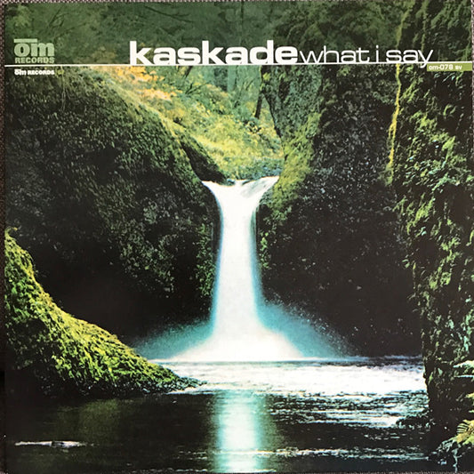 What I Say | Near Mint (NM or M-) Excellent (EX) - HOUSE / USED *NEAR MINT-*