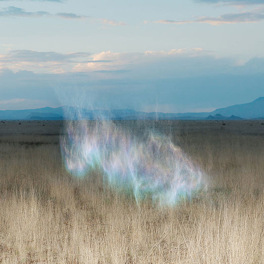 Hollie Kenniff - The Gathering Dawn | Mint (M) Mint (M) - AMBIENT *COLOR*