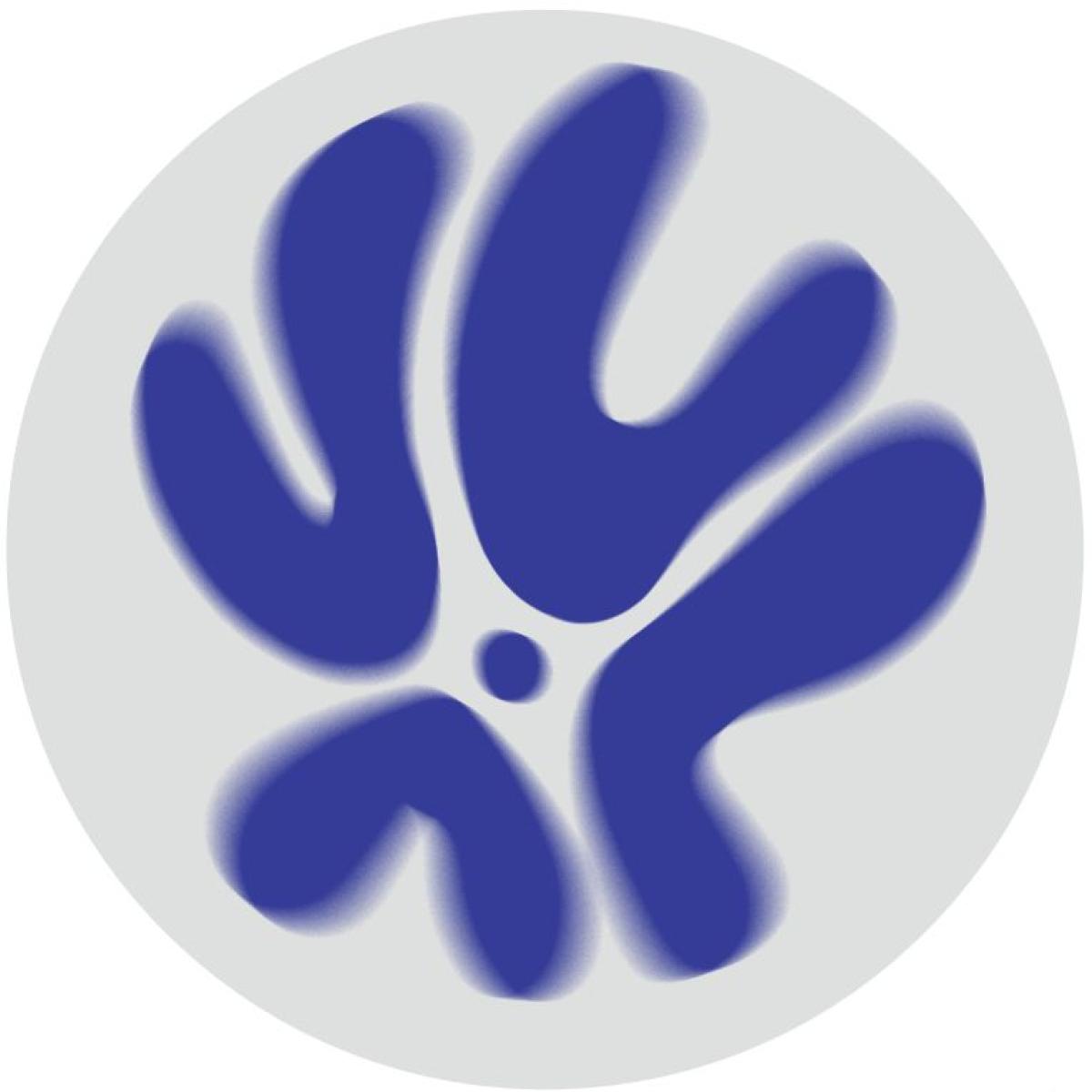 Matteo Point - (PRESALE TBD) Acid People (VINYL 12" SONUM SNM002) | NEW - HOUSE/ACID *NEW*